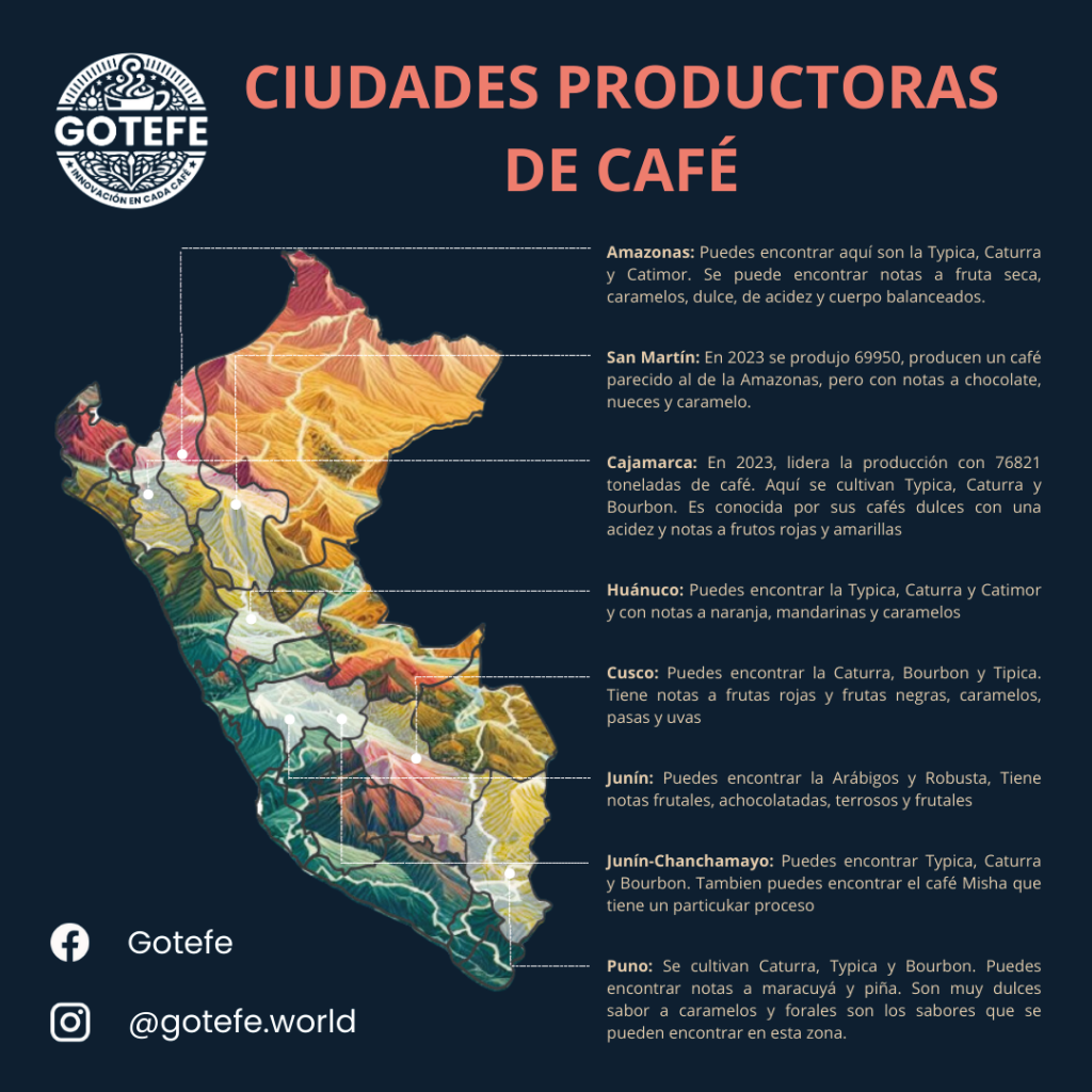 Imagen de ciudades productoras de café y sus notas